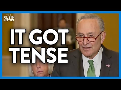 You are currently viewing Democrat Struggles to Hide His Anger as Press Asks This Simple Question | DM CLIPS | Rubin Report