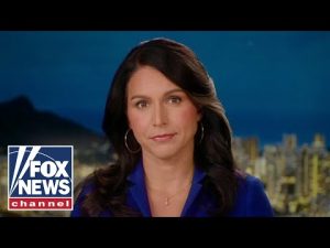 Read more about the article Tulsi Gabbard rips lawmakers for ‘failing’ at their most basic responsibility