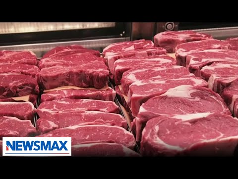 You are currently viewing Lab-grown meat gets FDA approval | Stephanie Nash