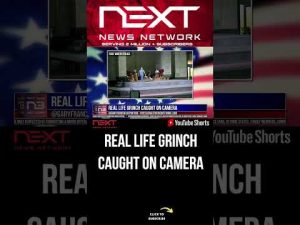 Read more about the article Real Life Grinch Caught on Camera #shorts