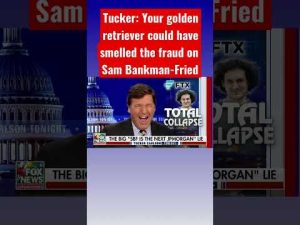 Read more about the article Tucker Carlson: Sam Bankman-Fried stunk of fraud