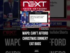 Read more about the article WAPO: Can’t Afford Christmas Dinner? EAT BUGS #shorts