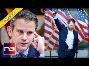 Read more about the article HAHA! Kinzinger Gets Instant Karma After Attacking Don Jr Calling Zelinsky a “Welfare Queen”