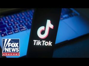 Read more about the article ‘We can’t trust TikTok. Period.’: Tech policy expert