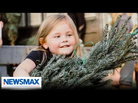 You are currently viewing Non-profit selling Christmas trees to help kids