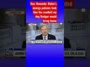 Read more about the article Sen. John Kennedy roasts Biden’s policies #shorts