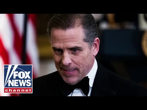 You are currently viewing FBI warned Twitter of Hunter Biden ‘hacks’ weekly before 2020 election: Report