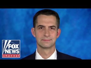 Read more about the article Tom Cotton: TikTok is a Trojan horse