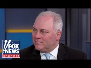 Read more about the article Rep. Scalise: This is all going to get exposed