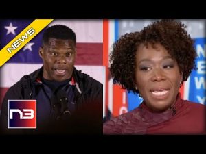 Read more about the article Chief MSNBC RACE-BAITER Joy Reid Explains the Difference Between Black Democrats & Black Republicans