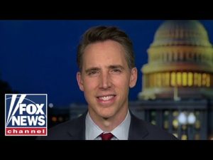 Read more about the article Biden administration ‘lied’: Sen. Josh Hawley