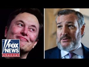 Read more about the article Ted Cruz exposes the ‘highest level’ of corruption revealed by Elon Musk