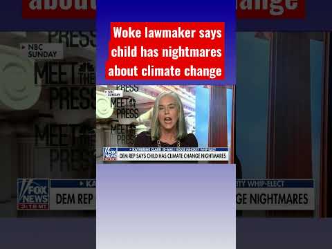 You are currently viewing Child wakes up with ‘nightmares’ over climate change #shorts