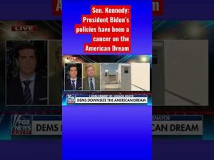 Read more about the article Sen. John Kennedy roasts Biden for destroying the country #shorts