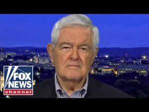 Read more about the article Newt Gingrich: This is out of touch with reality