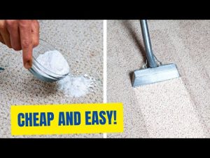 Read more about the article With This Simple Recipe You Will Keep Your Carpets As Clean As New