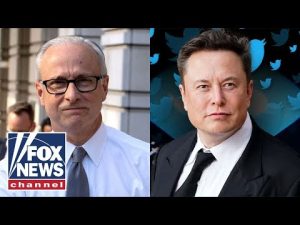 Read more about the article ‘My jaw hit the floor’: Ex-FBI lawyer fired by Elon Musk