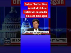 Read more about the article Tucker Carlson: Libs of TikTok was targeted by Twitter #shorts