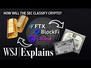 Read more about the article The SEC’s Strategy for Enforcing Regulation on Crypto, Explained | WSJ