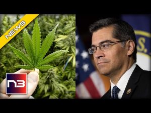 Read more about the article HHS Secretary Alludes To Plans On Potential Reclassification Of Marijuana