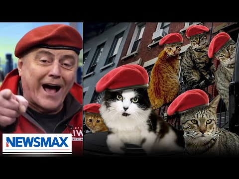 You are currently viewing Curtis Sliwa: Make me NYC rat czar & I’ll do this