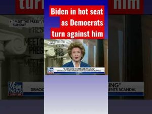 Read more about the article Democrats scorch Biden’s latest scandal #shorts #shortsfeed #shortsvideo