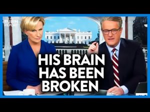 Read more about the article MSNBC Host Loses His Mind Live on Air Over The One Issue Uniting People | DM CLIPS | Rubin Report