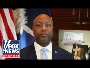 Read more about the article Tim Scott: This is all about power