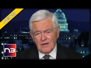 Read more about the article Newt Gingrich Reveals the Most CORRUPT and DANGEROUS Executive Branch in U.S. History