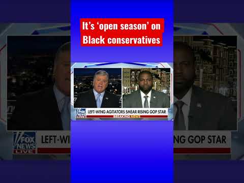 You are currently viewing We are ‘narrative busters’ to liberals: Rep. Byron Donalds #shorts #blm