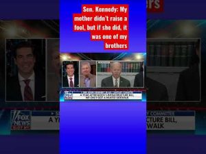 Read more about the article Sen. John Kennedy roasts Biden for ‘screwing up’ the country #shorts #shortsvideo #shortsfeed