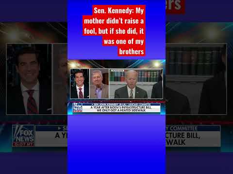 You are currently viewing Sen. John Kennedy roasts Biden for ‘screwing up’ the country #shorts #shortsvideo #shortsfeed