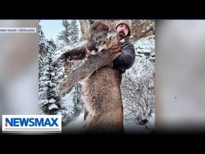 Read more about the article Former NFL player Derek Wolfe kills mountain lion for terrorizing community