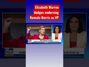 Read more about the article Elizabeth Warren forced to clarify after stopping short of endorsing Kamala Harris