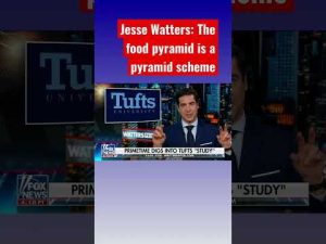 Read more about the article Jesse Watters: ‘Big food’ has been paying off scientists #shorts #shortsfeed #shortsvideo