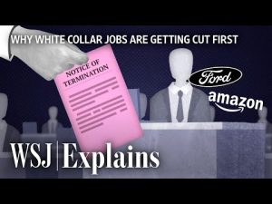 Read more about the article A White-Collar Recession? Why Layoffs Are Hitting Professional Workers | WSJ