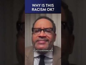 Read more about the article MSNBC Guest Has A Racist Message for Black Independent Thinkers #Shorts | DM CLIPS | Rubin Report