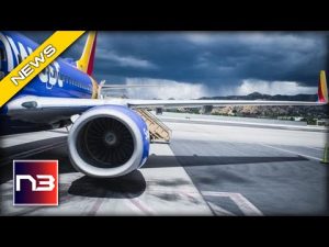 Read more about the article Southwest Airlines: The Damage Control Dog Mission Nobody Asked For