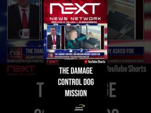 Read more about the article The Damage Control Dog Mission Nobody Asked For #shorts