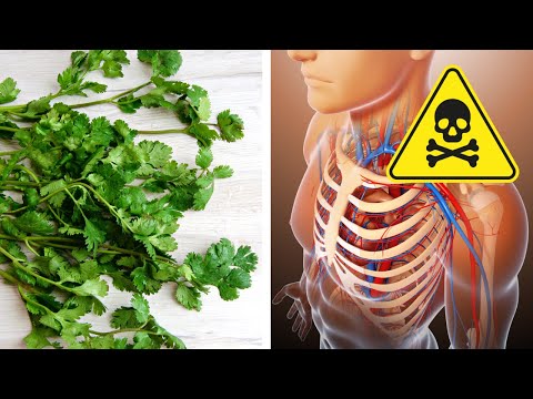 Read more about the article Flush Out Toxic Heavy Metals From Your Body With This Herb!