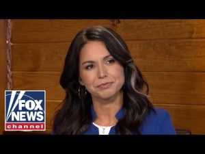 Read more about the article ‘BEGGING FOR HELP’: Tulsi Gabbard eviscerates Biden, Buttigieg