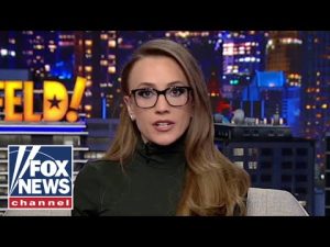 Read more about the article Kat Timpf: Our ability to speak ‘truth to power’ on the internet might disappear