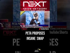 Read more about the article PETA Proposes Insane  Swap #shorts