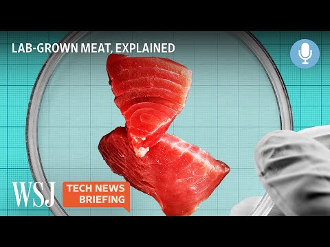 Read more about the article Lab-Grown Meat: How Much Can It Help Save Our Climate? | Tech News Briefing Podcast | WSJ