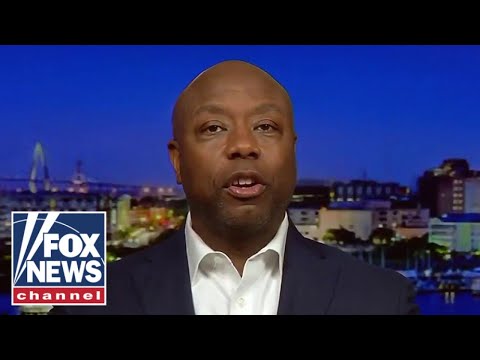 You are currently viewing Tim Scott: This is the beauty of America