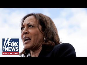 Read more about the article Dems are ‘scared to death’ that Kamala Harris may be their best hope: Huckabee