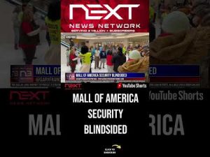 Read more about the article Mall of America Security BLINDSIDED #shorts