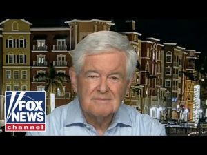 Read more about the article We have a ‘dangerous’ situation with Russia and China: Newt Gingrich