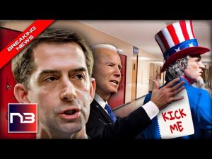 Read more about the article Sen. Tom Cotton BLASTS Biden’s Foreign Policy with 3 Words that’ll Make Uncle Sam Cry