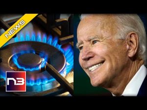 Read more about the article The Shocking Truth About Biden’s Attack On American Kitchens